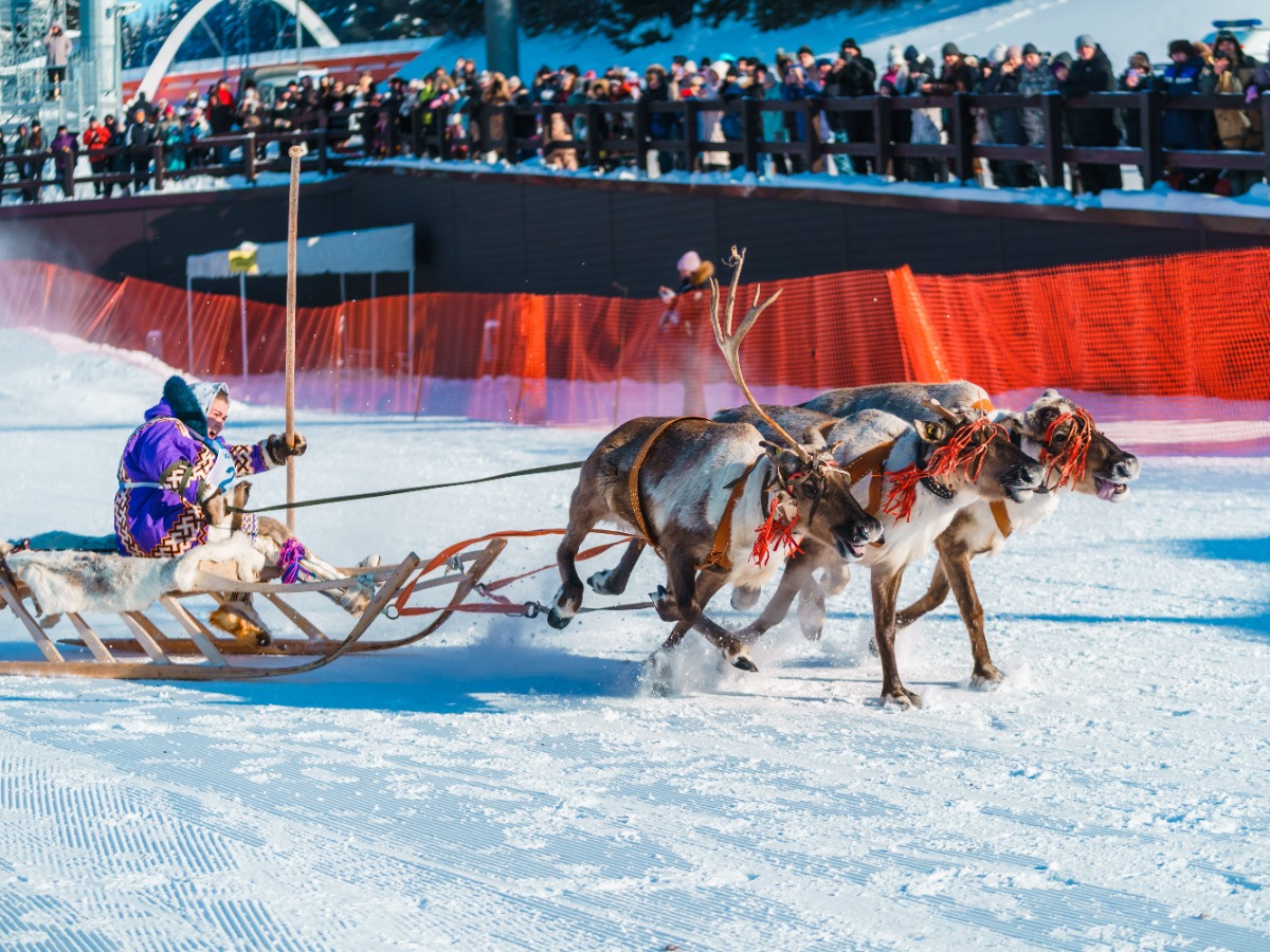 Все фотографии в материале — Центр социальных медиа Югры