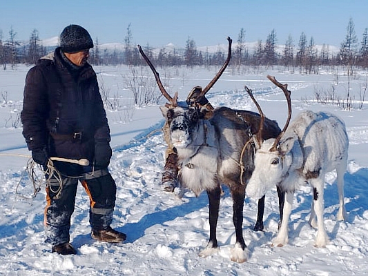 Фото: Николай Тынескин / ИА «Чукотка» 