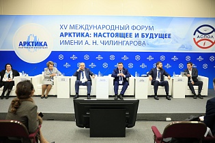  XV Международный форум. Арктика: настоящее и будущее. ИМЕНИ А. Н. ЧИЛИНГАРОВА