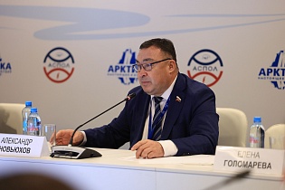  XV Международный форум. Арктика: настоящее и будущее. ИМЕНИ А. Н. ЧИЛИНГАРОВА